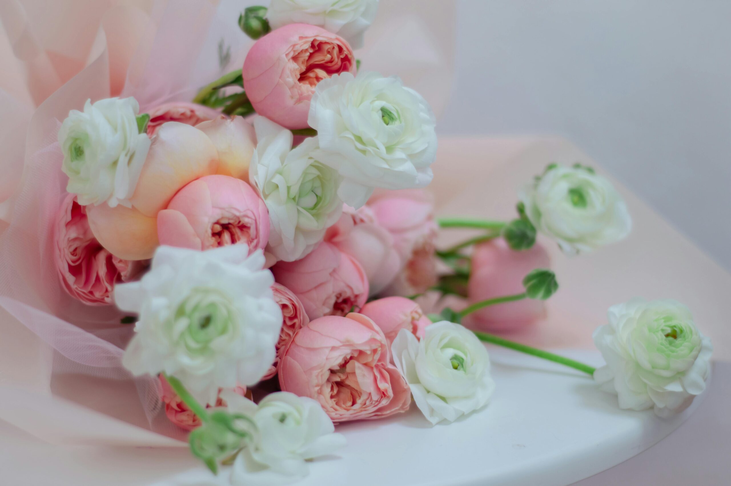 pexels photo 20440300 20440300 Delicate pink and white ranunculus bouquet in soft focus, perfect for romantic settings.